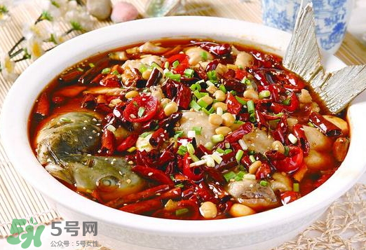 鯉魚(yú)可以做水煮魚(yú)嗎？水煮鯉魚(yú)的做法