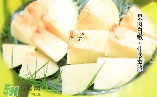 綠寶石梨多少錢一斤？綠寶石梨價(jià)格表