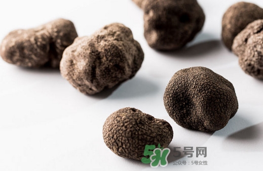 松露對女人有什么好處？松露對男人有什么好處