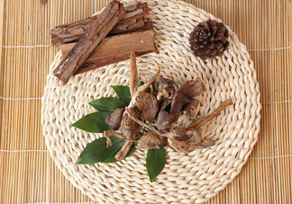 雞樅菌和松茸哪個更好？雞樅菌有什么營養(yǎng)