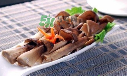 雞樅菌和松茸哪個(gè)更好？雞樅菌有什么營(yíng)養(yǎng)