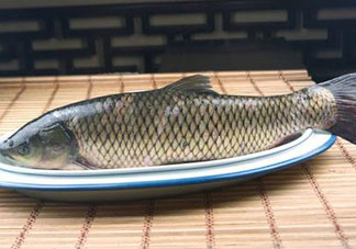 黑魚可以清蒸嗎？黑魚蒸多久？