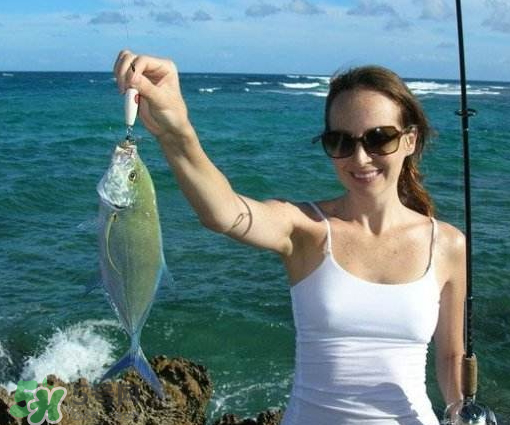 9月份釣什么魚？9月份釣草魚嗎？