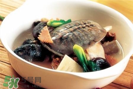 產(chǎn)婦能吃甲魚嗎？產(chǎn)婦能吃甲魚湯嗎？