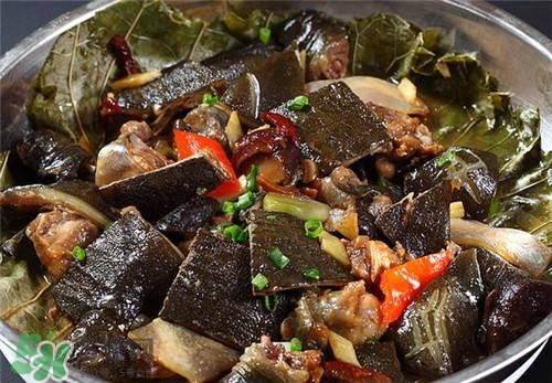 甲魚湯下奶嗎？下奶的食物有哪些？