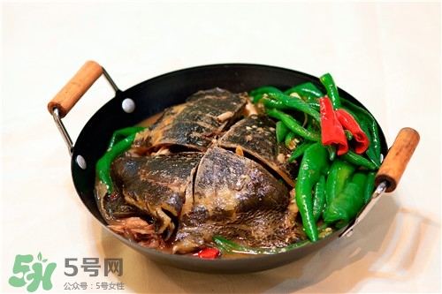 甲魚湯是涼性的嗎？甲魚湯的禁忌人群