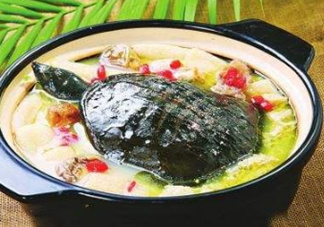 甲魚湯下奶嗎？下奶的食物有哪些？
