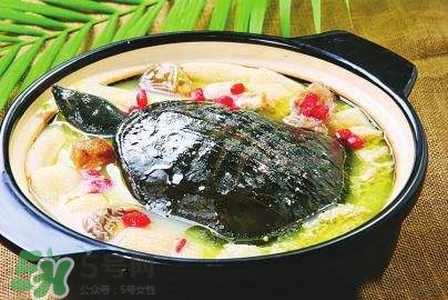 甲魚湯下奶嗎？下奶的食物有哪些？