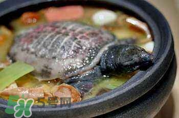 產(chǎn)婦能吃甲魚嗎？產(chǎn)婦能吃甲魚湯嗎？
