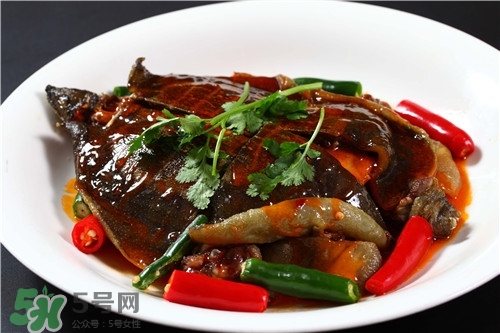 甲魚湯是涼性的嗎？甲魚湯的禁忌人群