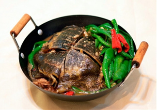 甲魚湯是涼性的嗎？甲魚湯的禁忌人群