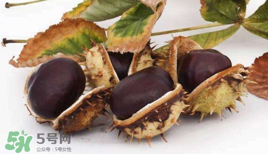 板栗殼怎么好剝？怎樣剝板栗殼最快