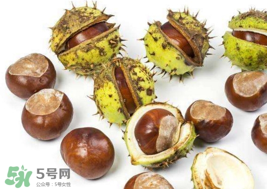 板栗殼怎么好剝？怎樣剝板栗殼最快