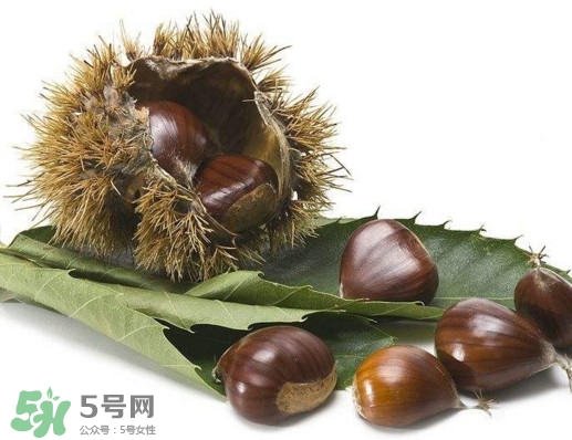 板栗殼里面的皮能吃嗎？板栗殼有什么作用