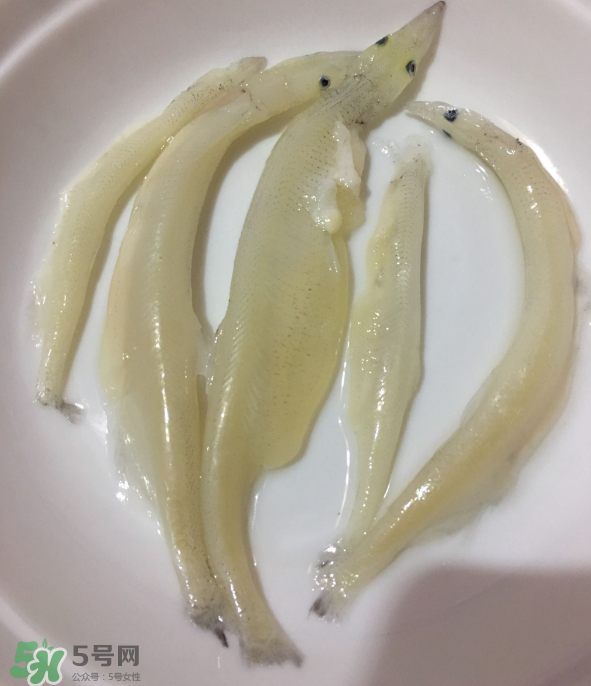 大銀魚怎么做好吃？大銀魚的做法大全