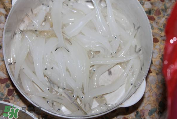 大銀魚多少錢一斤？大銀魚怎么洗？