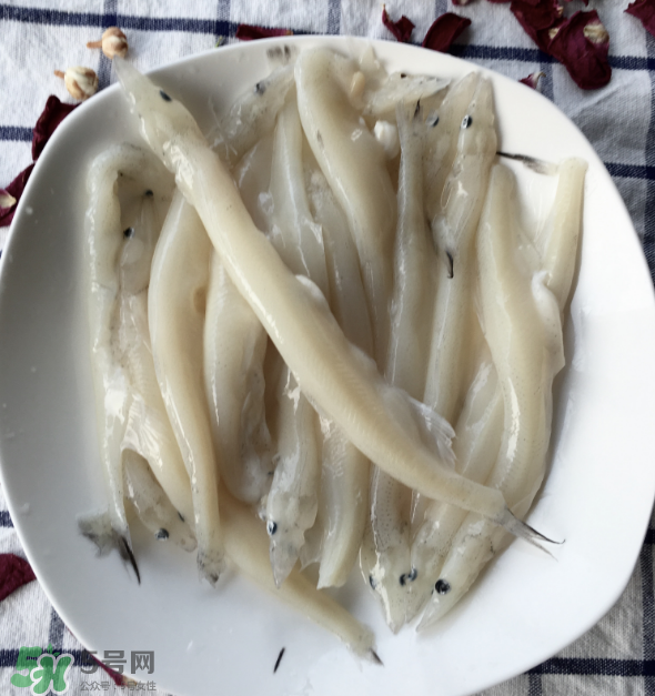 大銀魚多少錢一斤？大銀魚怎么洗？