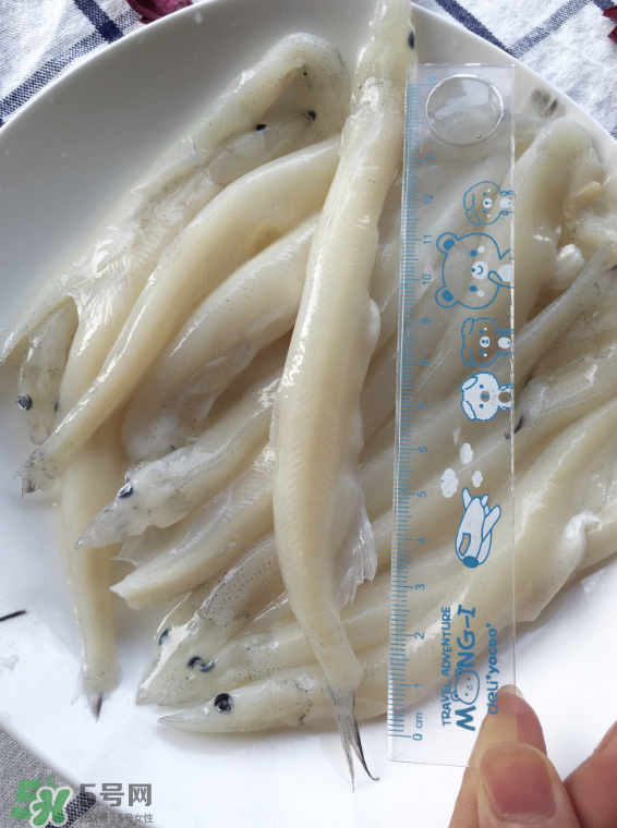 大銀魚多少錢一斤？大銀魚怎么洗？