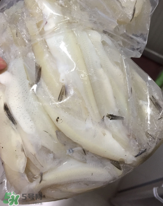 銀魚可以煲粥嗎？銀魚可以包餃子嗎？