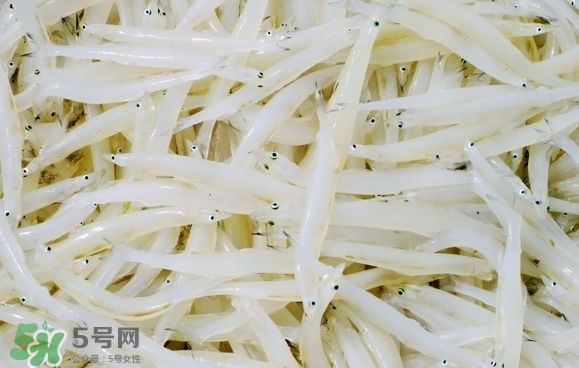 銀魚可以煲粥嗎？銀魚可以包餃子嗎？