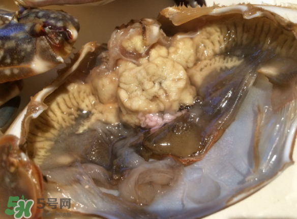 梭子蟹是野生的嗎？梭子蟹養(yǎng)的還是野生的？