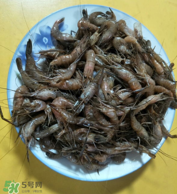 河蝦是發(fā)物嗎？河蝦是不是發(fā)物？
