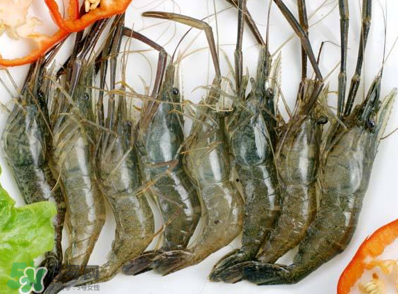 河蝦是海鮮嗎？河蝦屬于海鮮嗎？