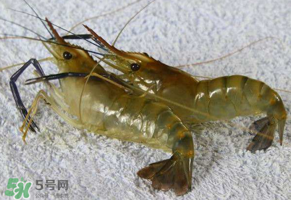 河蝦是酸性還是堿性？河蝦是涼性還是熱性？