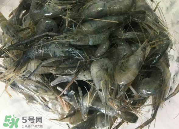 河蝦是基圍蝦嗎？河蝦是辛辣食物嗎？