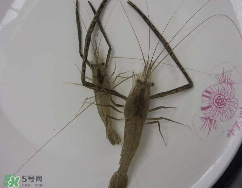 河蝦可以和牛奶同食嗎？河蝦和牛奶能一起吃嗎？
