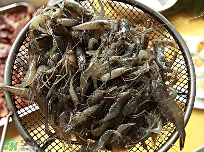 河蝦可以吃頭嗎？蝦頭到底能不能吃？