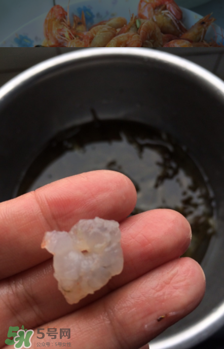 河蝦可以放冰箱嗎？河蝦在冰箱能放幾天？