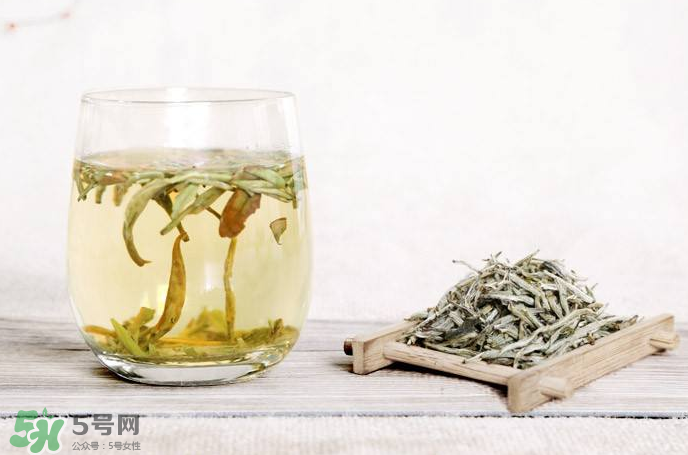 白毫銀針屬于綠茶嗎？白毫銀針是什么茶？