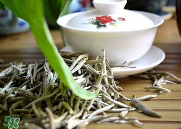 白茶需要洗茶嗎？白茶是洗還是不洗？