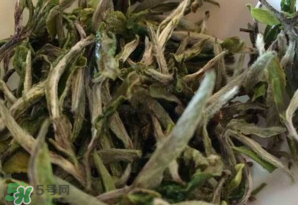 白茶需要洗茶嗎？白茶是洗還是不洗？