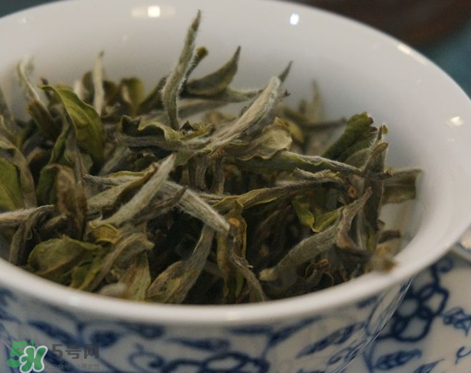 白茶需要洗茶嗎？白茶是洗還是不洗？
