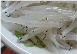 銀魚怎么保存？銀魚可以放在冰箱冷凍保存嗎？