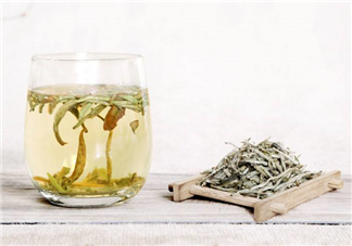 白毫銀針屬于綠茶嗎？白毫銀針是什么茶？