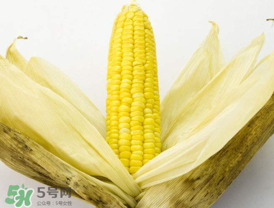 九月份能種玉米嗎？玉米九月份還可以種嗎？