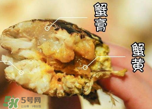 蟹黃是黑色的怎么回事？蟹黃中間有黑的是什么？