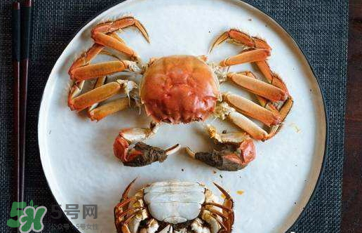 啤酒蒸大閘蟹好吃嗎？啤酒蒸大閘蟹怎么吃？