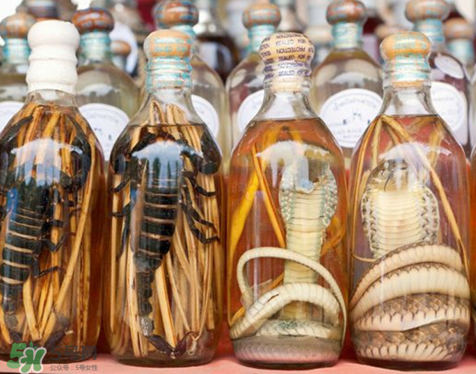 毒蛇泡酒有毒嗎？毒蛇泡酒能喝嗎？