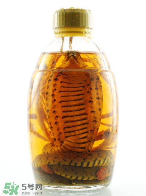 毒蛇泡酒有毒嗎？毒蛇泡酒能喝嗎？