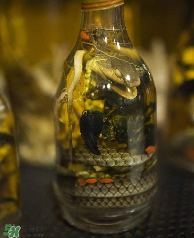 毒蛇泡酒有毒嗎？毒蛇泡酒能喝嗎？