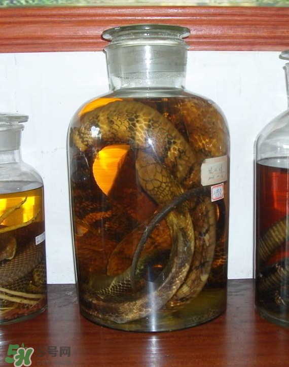 毒蛇泡酒多久才能喝？毒蛇泡酒多久才會(huì)死？