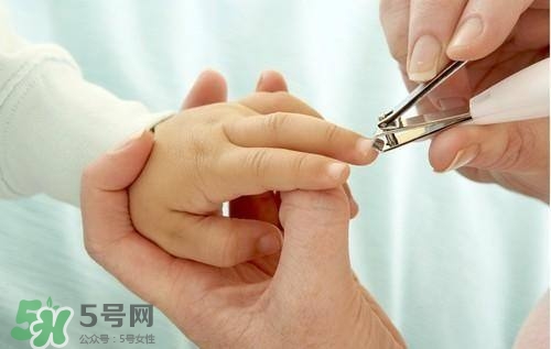 寶寶多大可以剪指甲？寶寶剪指甲的正確方法