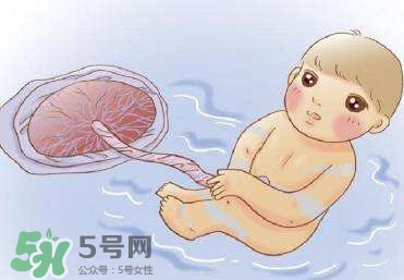 如何預防羊水早破？羊水早破能保胎多久？