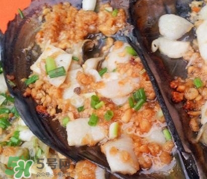 帶子是什么海鮮？帶子是什么東西
