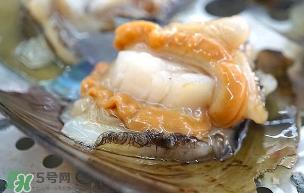帶子哪里不能吃？帶子有什么營(yíng)養(yǎng)價(jià)值
