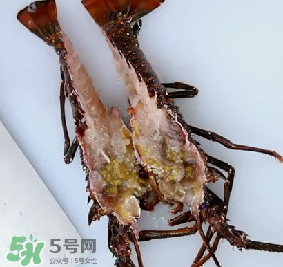 波士頓龍蝦怎么去蝦線？波士頓龍蝦怎么清洗